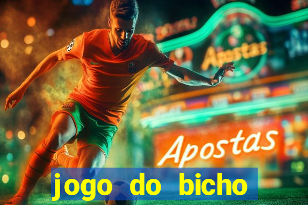 jogo do bicho tipos de apostas